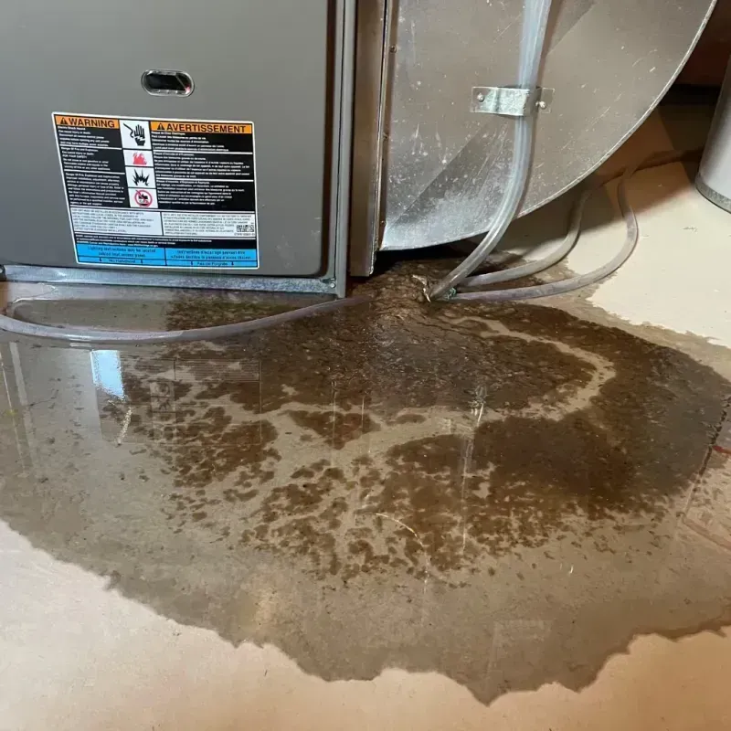 Appliance Leak Cleanup in Big Sandy, TX